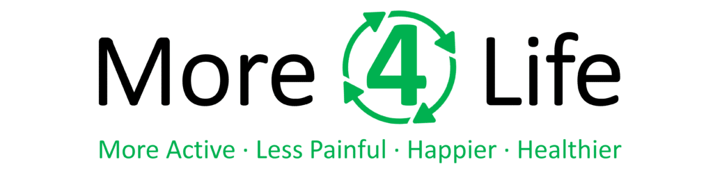 More 4 Life Logo